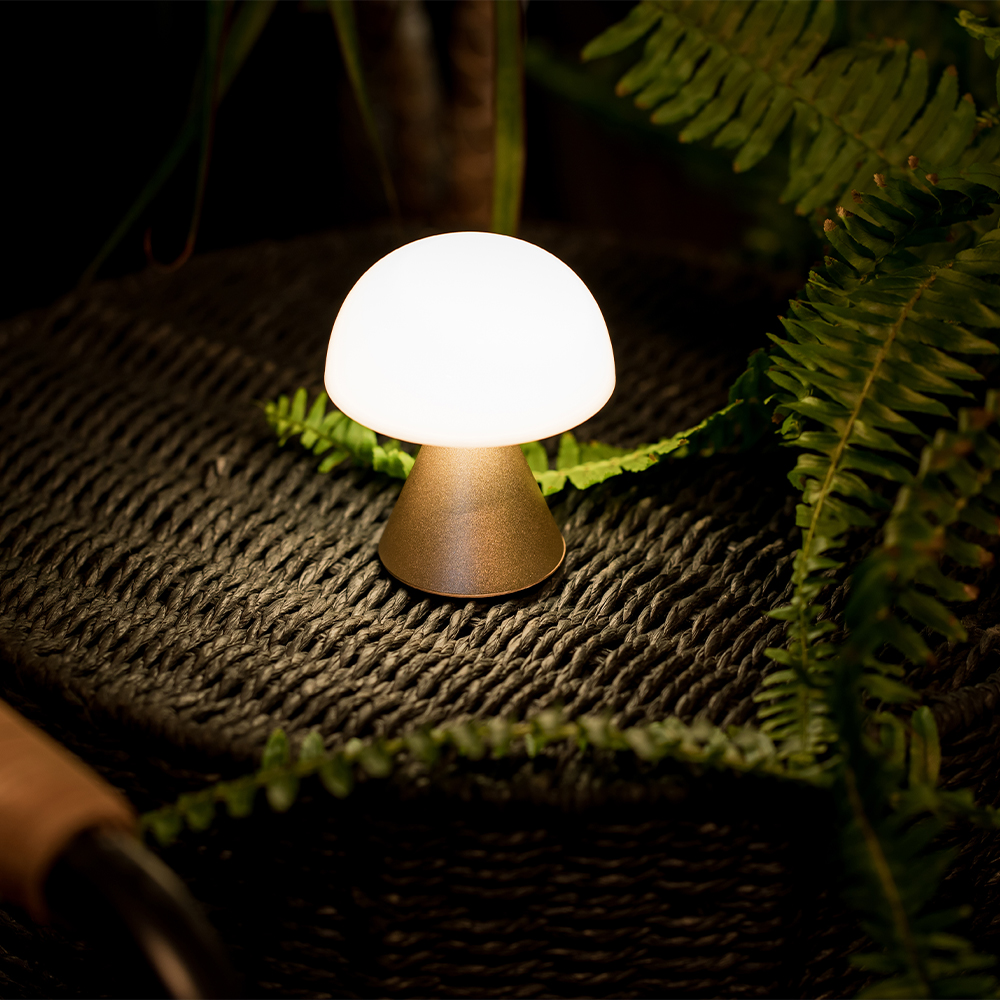 暖色光と寒色光 Minaは、日常のひとときをあなただけのライ&hellip;